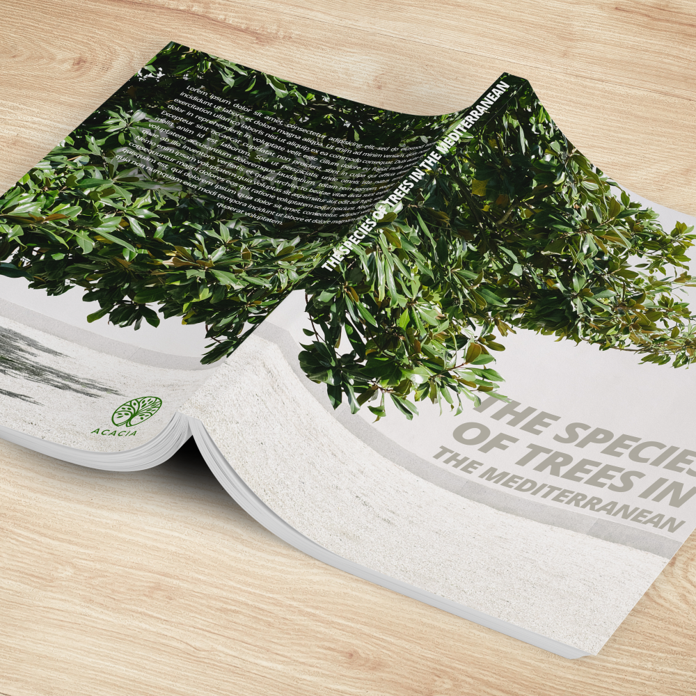 Gelijmde brochures